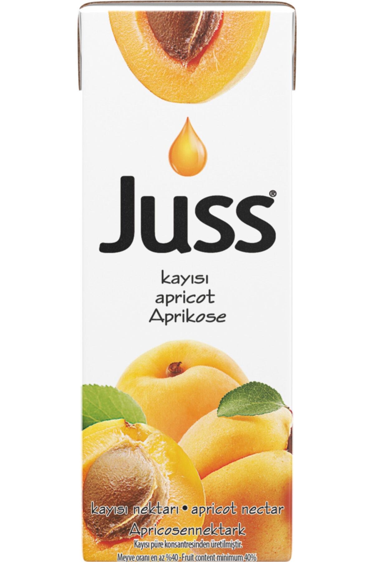 JUSS Kayısı Nektarı 200ml X 27 Adet Slim