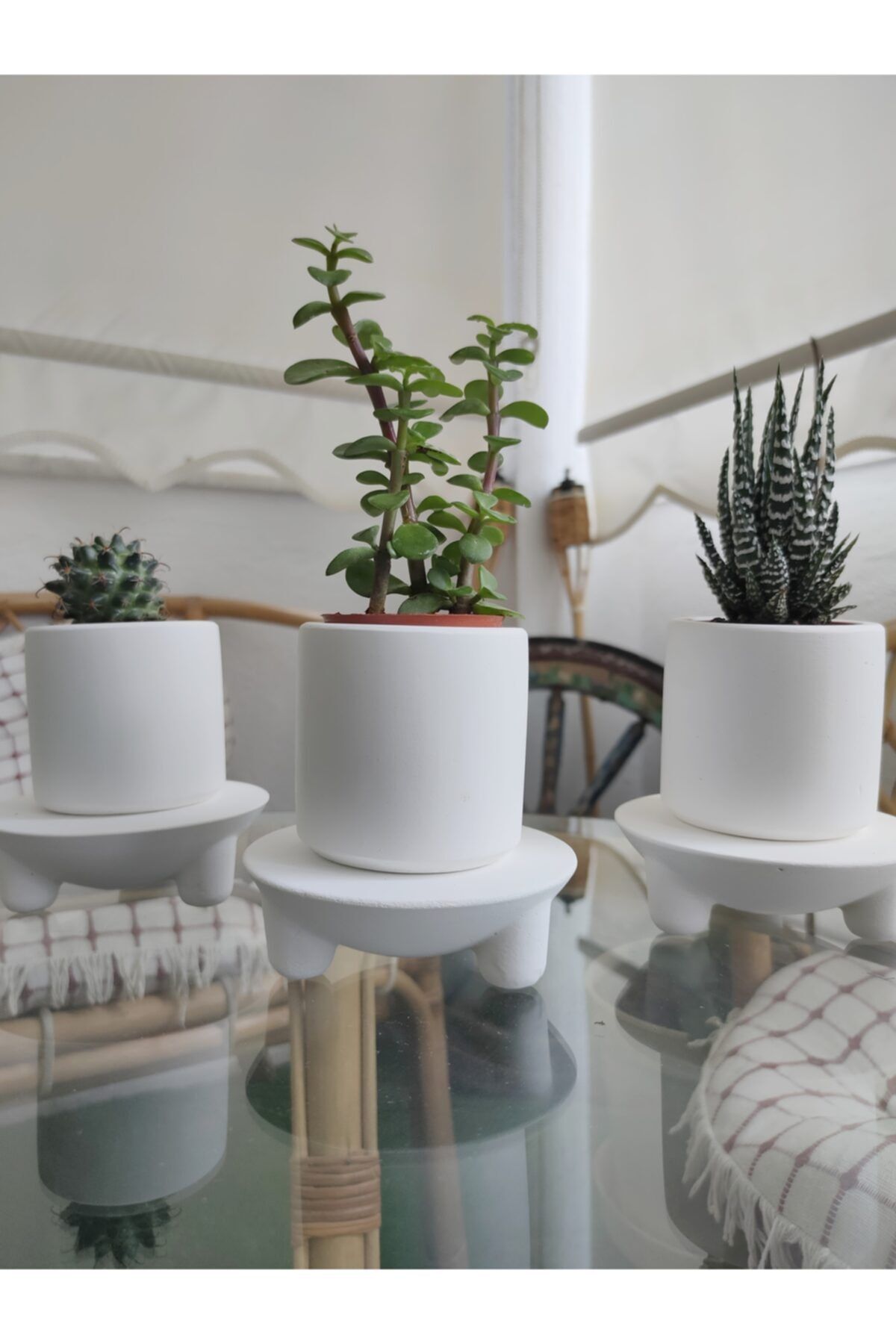 trendchack 3'lü Dekoratif Beton Sukulent Ve Kaktüs Için Saksı Ve Saks Ve Ayaklı Saksı Altı