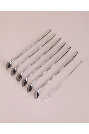 Kaşıklı Çelik Pipet 6lı + Fırça Kokteyl Karıştırıcı Kokteyl Kaşığı Bar Koktely Kaşığı 6lı Image 0
