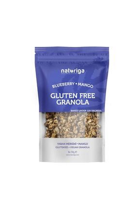 Glutensiz Yaban Mersini Mango Granola 250gr Image 0