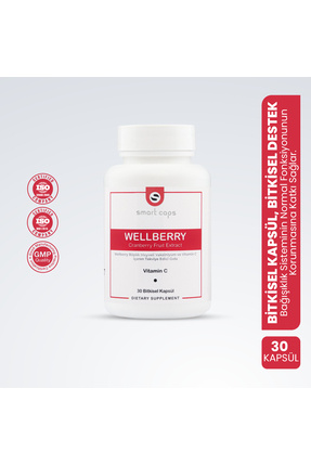 Wellberry Cranberry 30 Kapsül Image 0