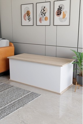 Çeyiz Sandığı Çok Amaçlı Saklama Kutusu Salon Antre Mobilyası Oyuncak Organizer Sandık 125x40 cm Image 0