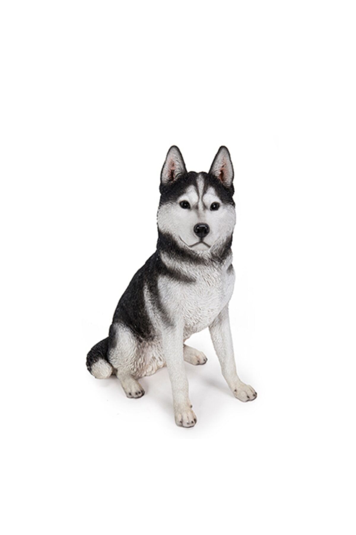 May Gift Shop Husky Biblo Figür Hotant Husky Heykel 42*28*50.5 Cm