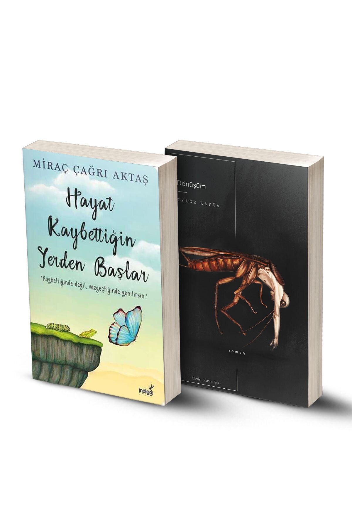 KOLEKTİF 2 Kitap / Hayat Kaybettiğin Yerden Başlar - Dönüşüm