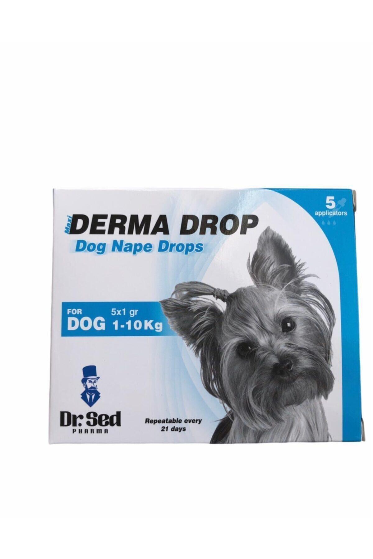Derma Köpekler Için Deri Bakım Maxi Drop 5x1 Gr 1-10 Kg