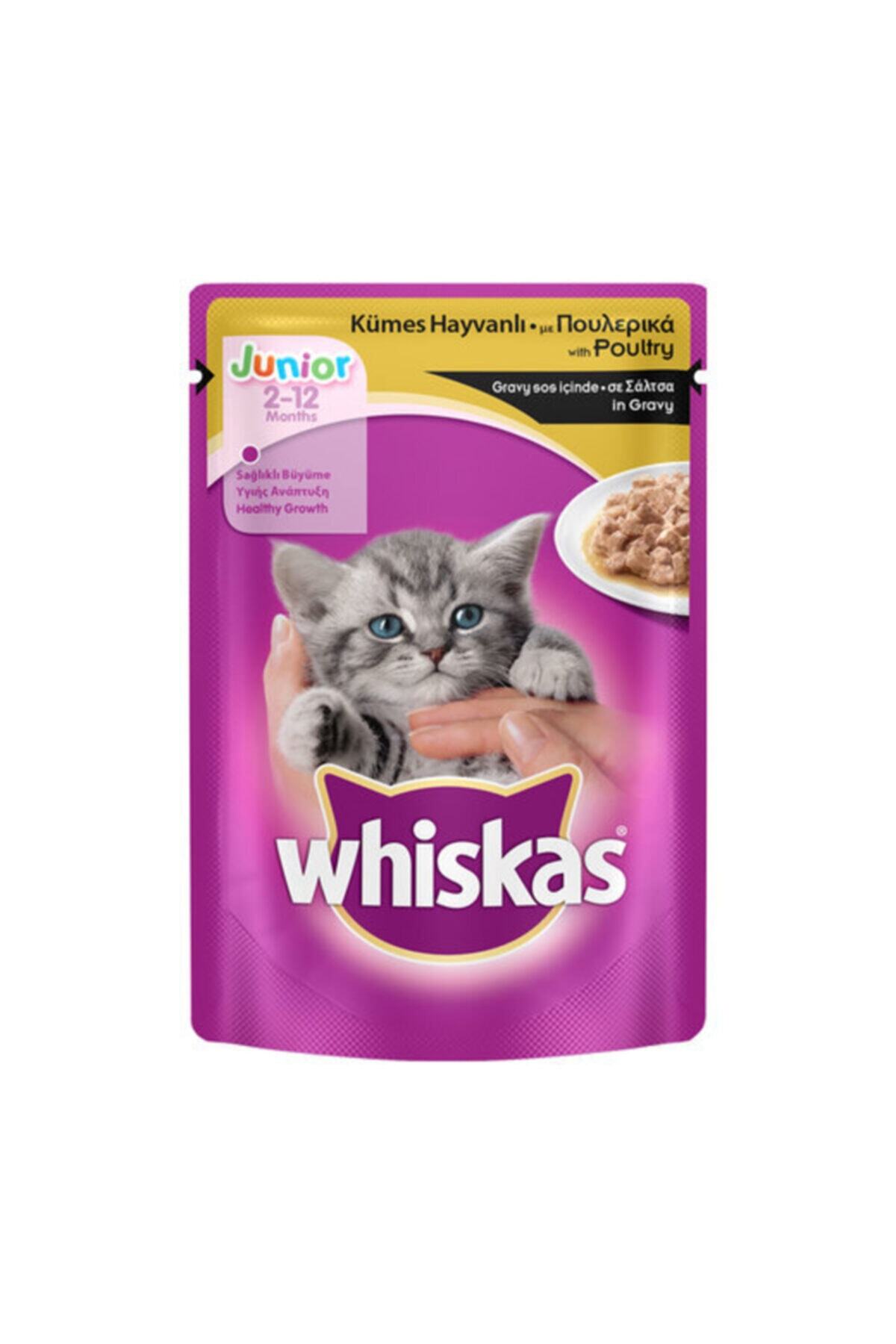 Whiskas Yaş Mama