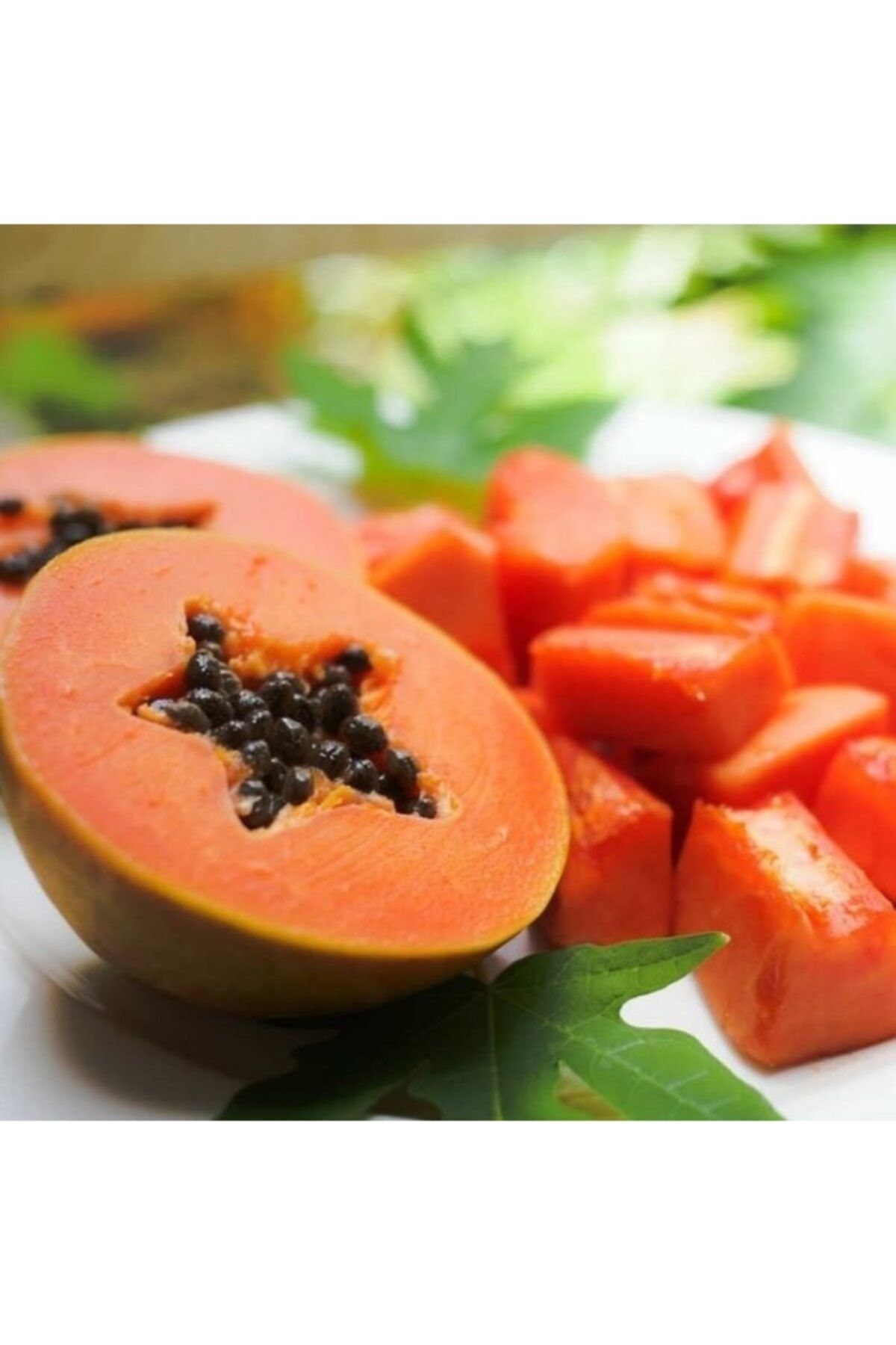AnamurNaturel Tüplü Green Star Özel Üretim Papaya Fidanı (40-70 Cm)