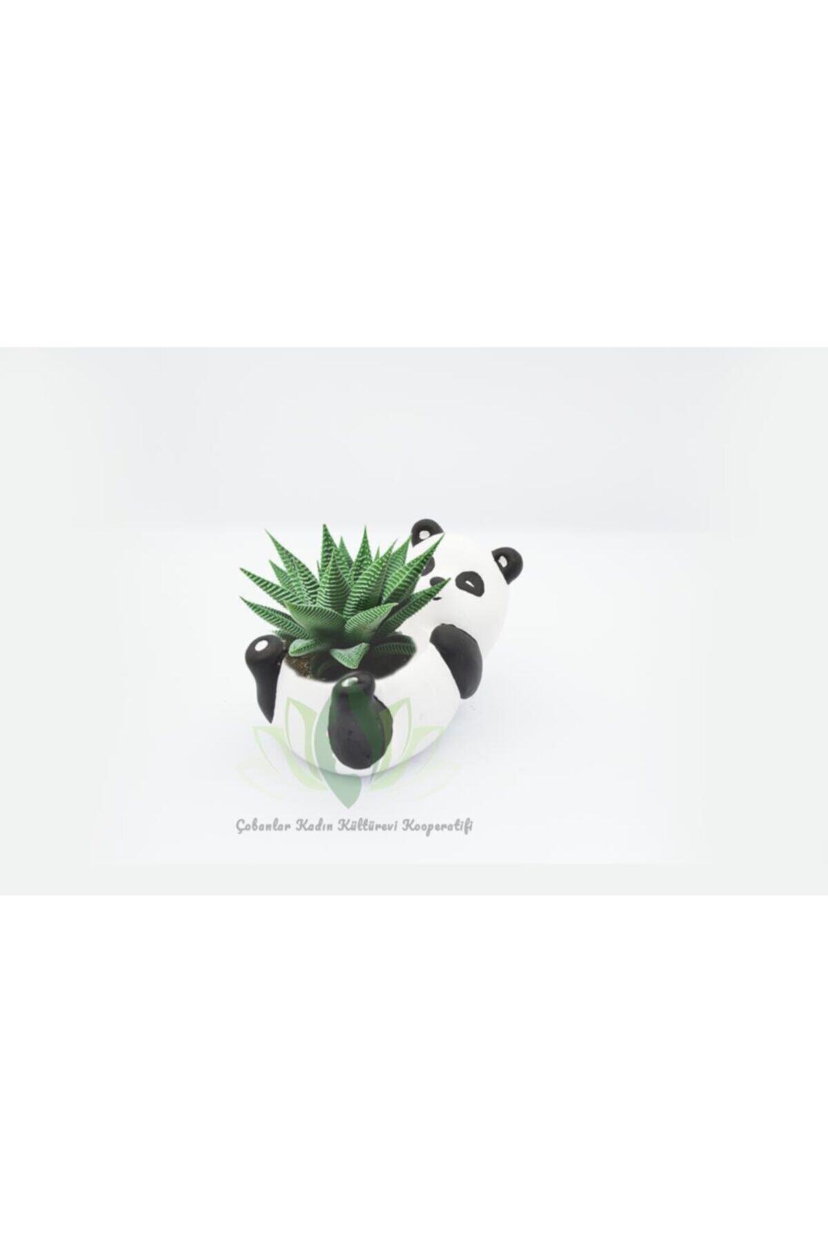 Çobanlar Kadın Kooperatifi Dekoratif Panda Saksı ( Beton / Taştozu Sukulent Saksısı )