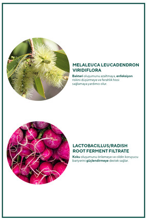 Saf Nioli Suyu Kötü Koku Önleyici İntim Bakım Toniği 100 ml Image 6