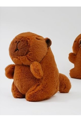 Capybara Anahtarlık Tüm Modeleri ( Yeşil sülüfat-Arisi-Labubu Gömlekli-Sevgilisi-Sade-Kulaklıksi Image 0