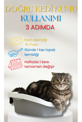 Colourful Ince Tane Eko 20 lt Kedi Kumu Image 2