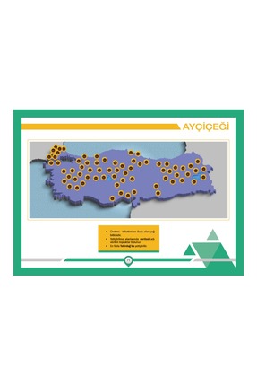 2026 Tüm Adaylar İçin Haritalarla Coğrafya Benim Hocam Yayınları Image 4