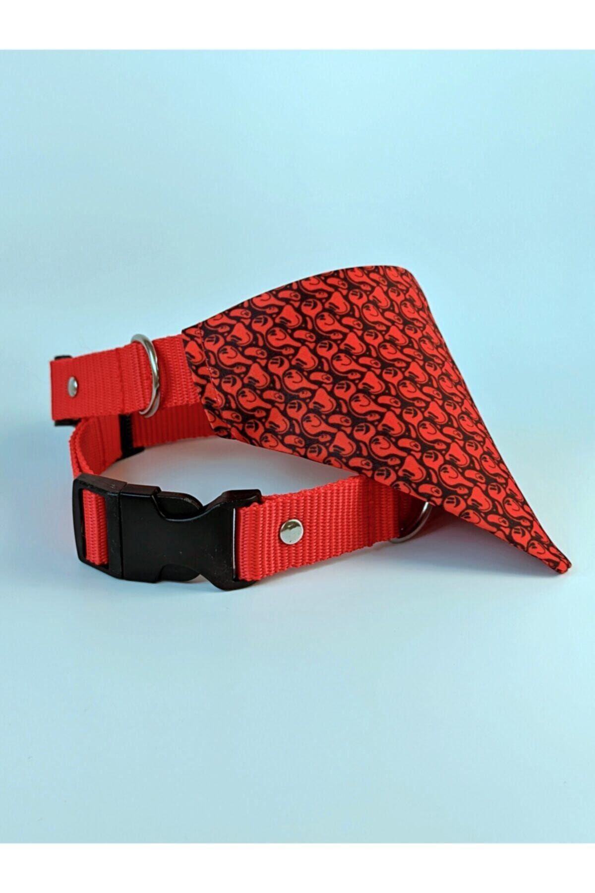 UTDpet Redd Fularlı Köpek Boyun Tasması Xlarge