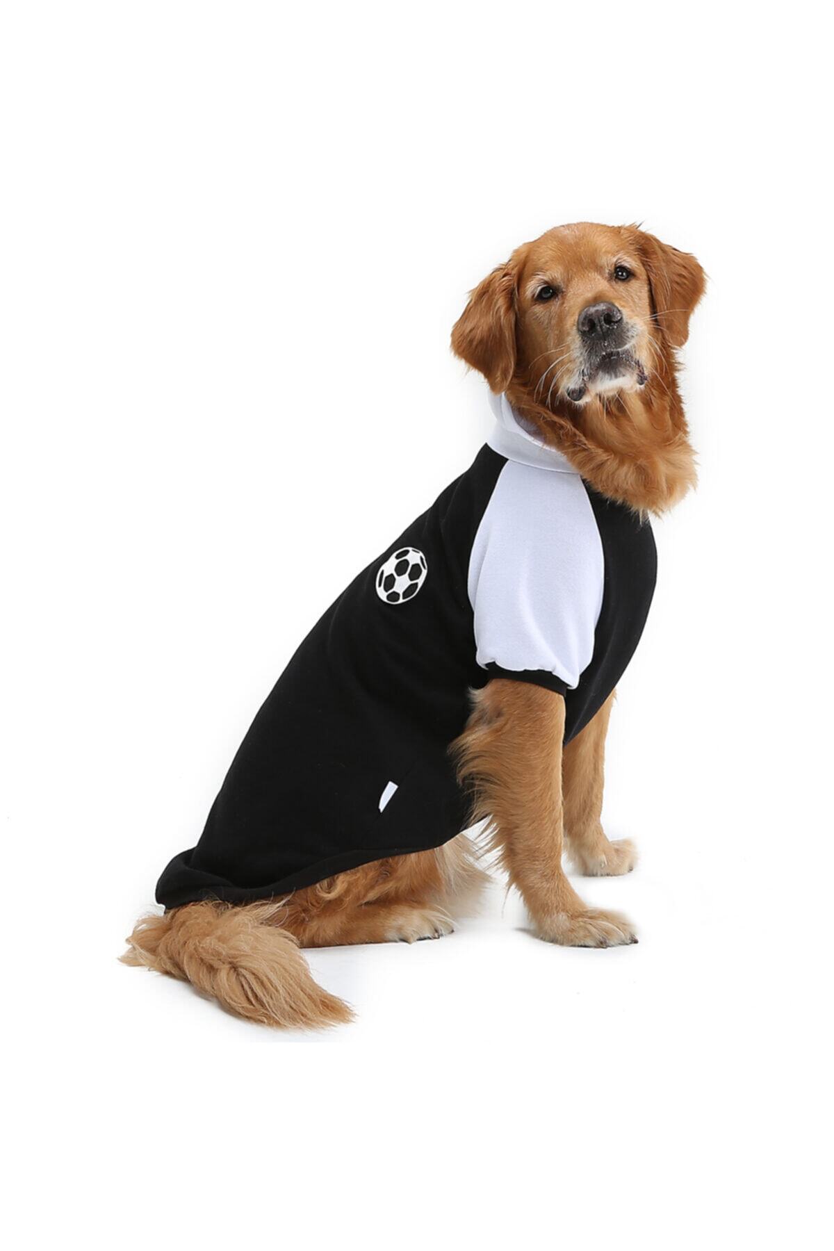 DOGİ&DOG Büyük Irk Ball Black Taraftar Köpek Sweati-köpek Kiyafeti