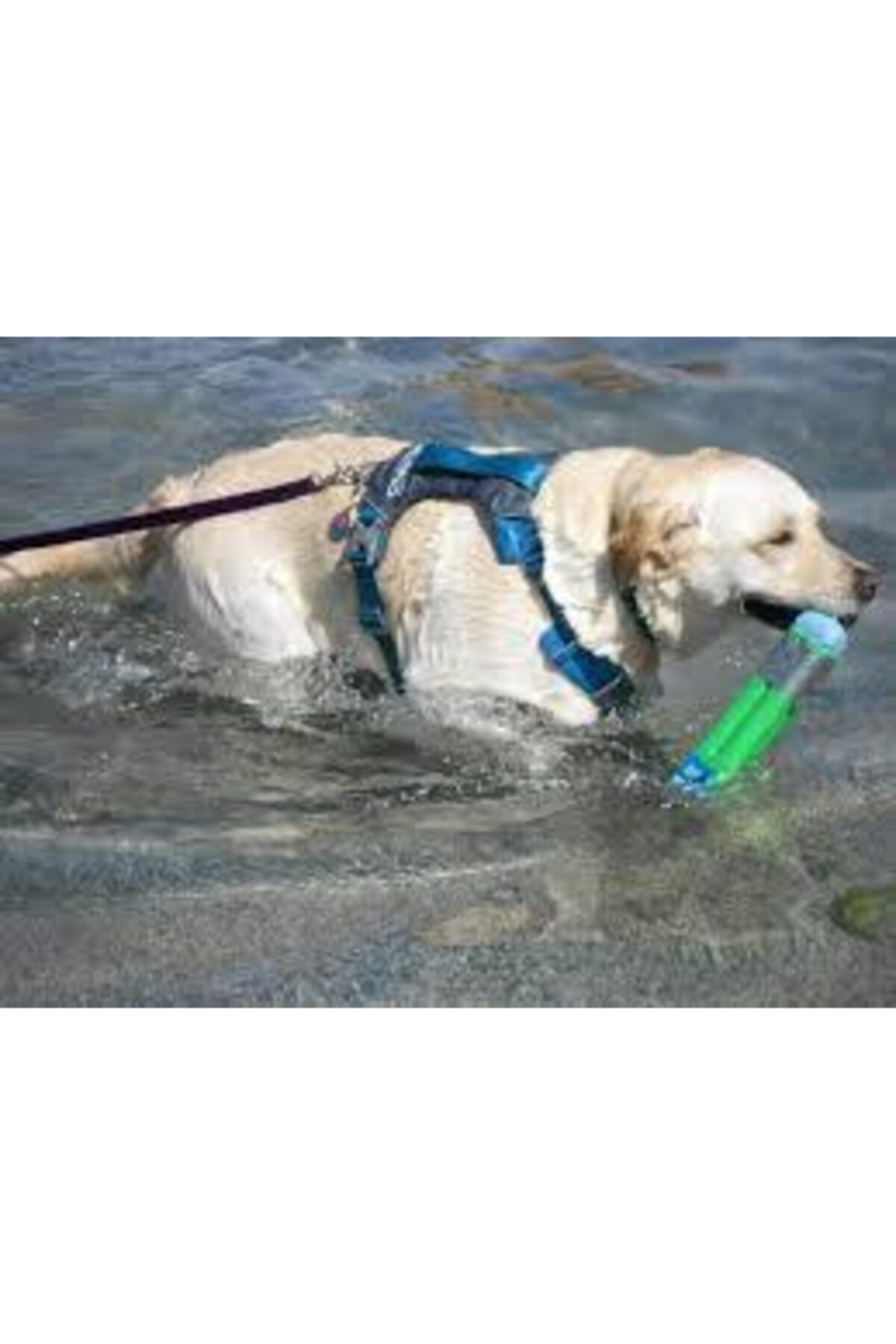 PetSafe Kurgo Journey Air Koşu Göğüs Tasması Siyah/gri Xl K01946