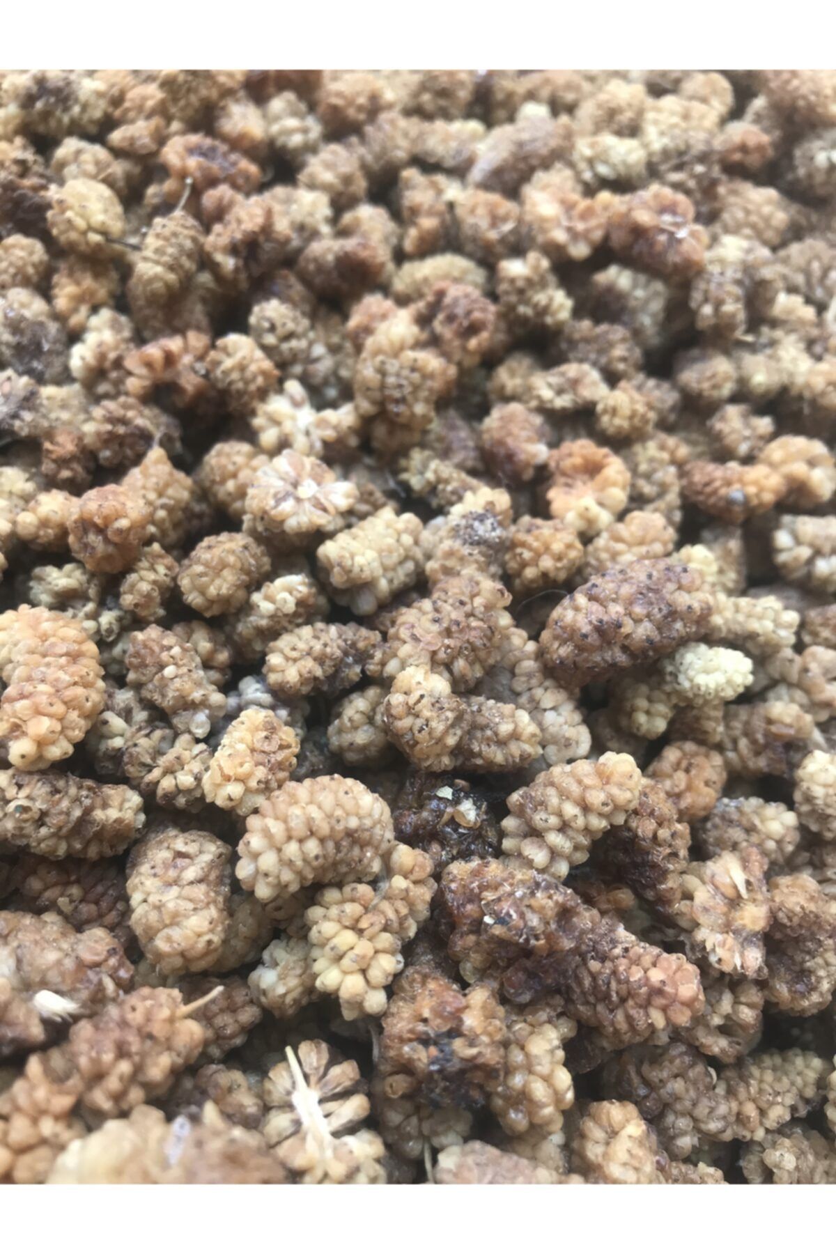 Kuru Mahsul Dut Kurusu 5000g