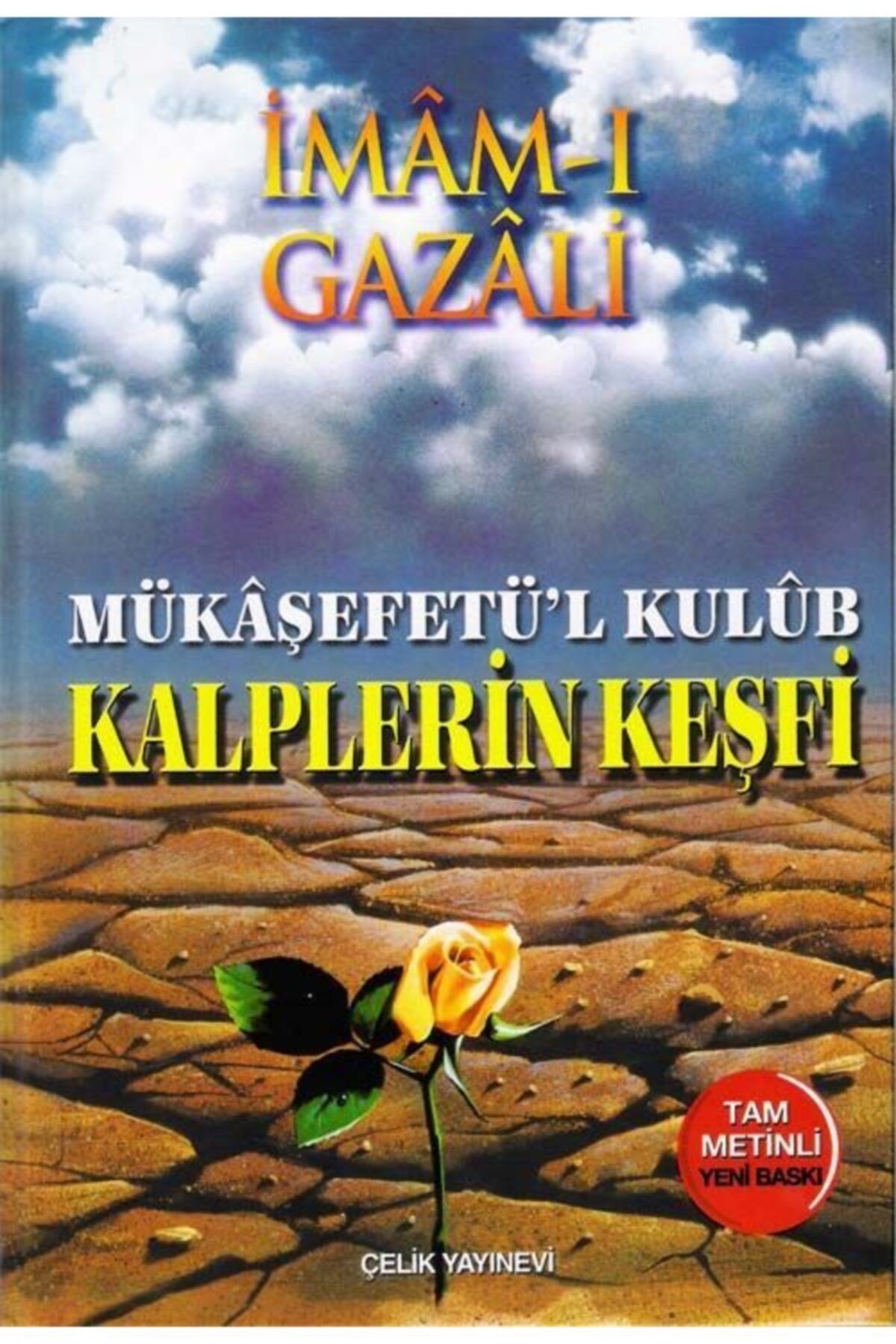 Çelik Yayınevi Kalplerin Keşfi