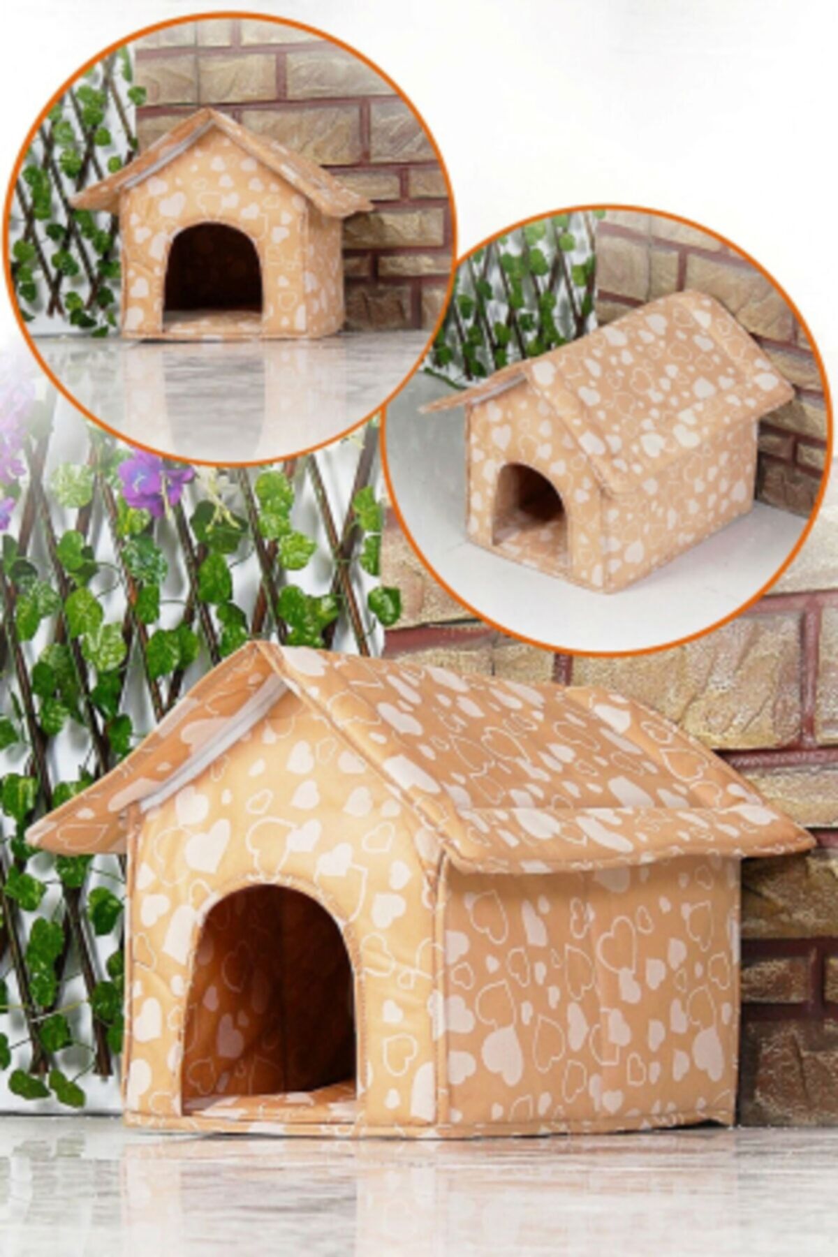 alorez Kedi Evi