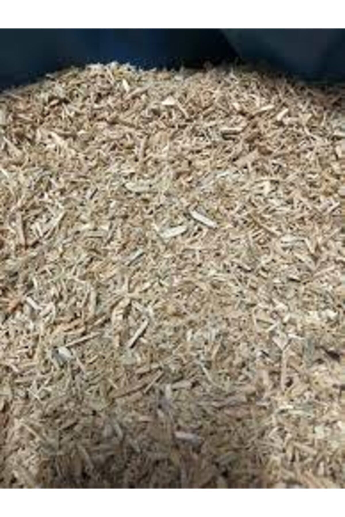 Özdemir Petshop Kedi Kumu Çam Cipsi2 Kg 5lt