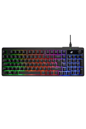 Emachines EAK860 Oyuncu Klavyesi Rainbow Q Standart Kompakt Klavye Gaming Klavye Siyah Image 0