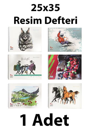 Resim Defteri Spiralli Karton Kapak 25x35 Cm 15 Yaprak 1 adet Image 0