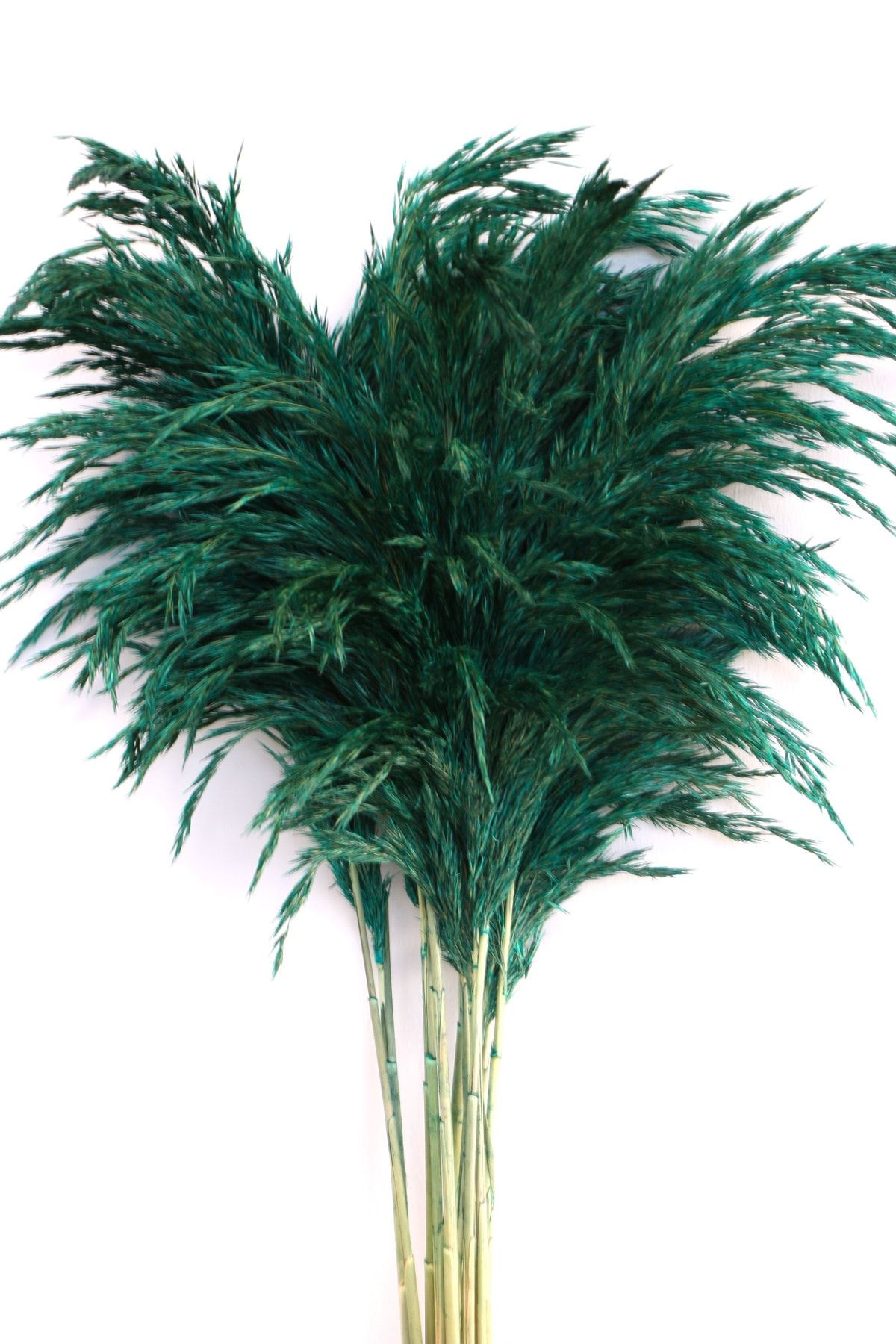 Hanımın Atölyesi Şoklanmış Pampas 15li Büyük Demet 100cm Zümrüt