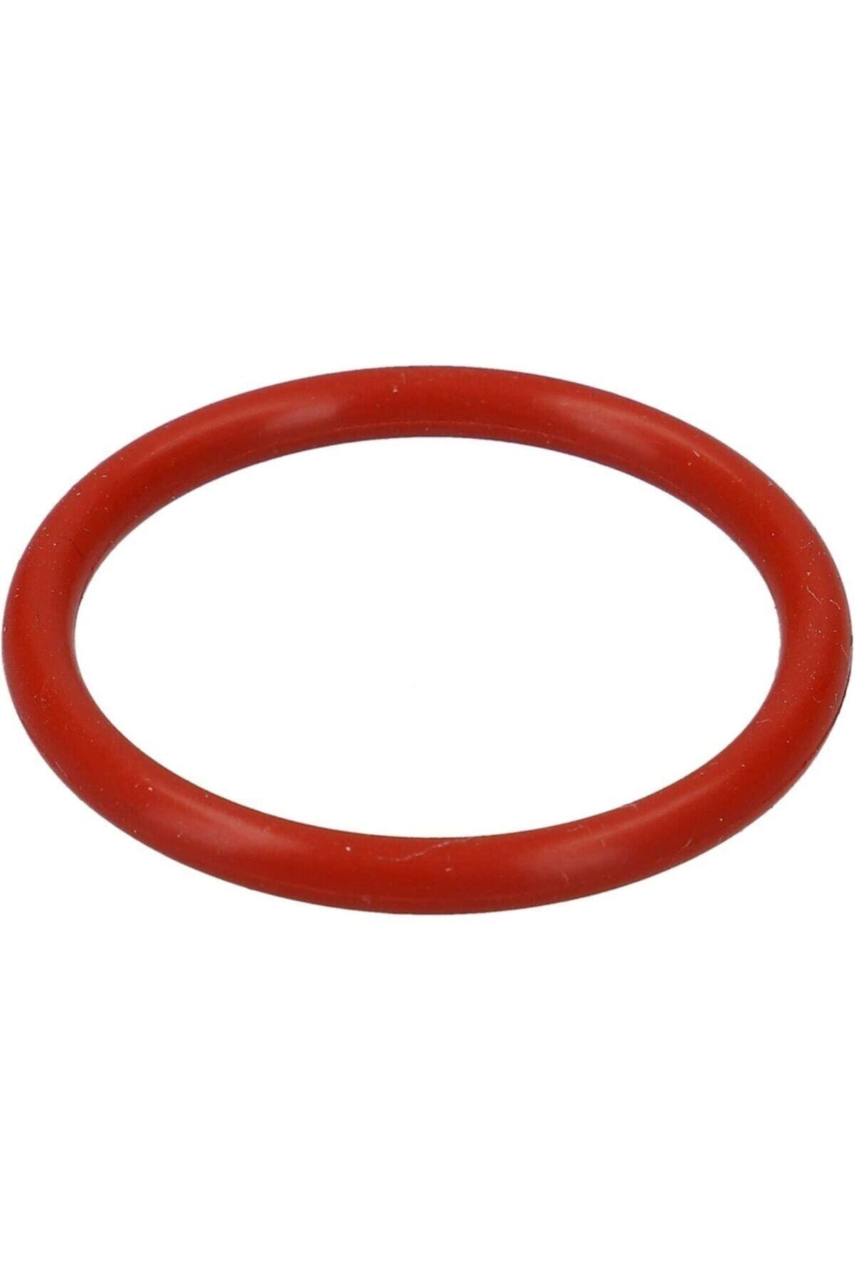 Ls Trend Siemens Bosch Uyumlu Kahve Makinesi Haşlama Ünitesi Pres Conta 46 mm O Ring