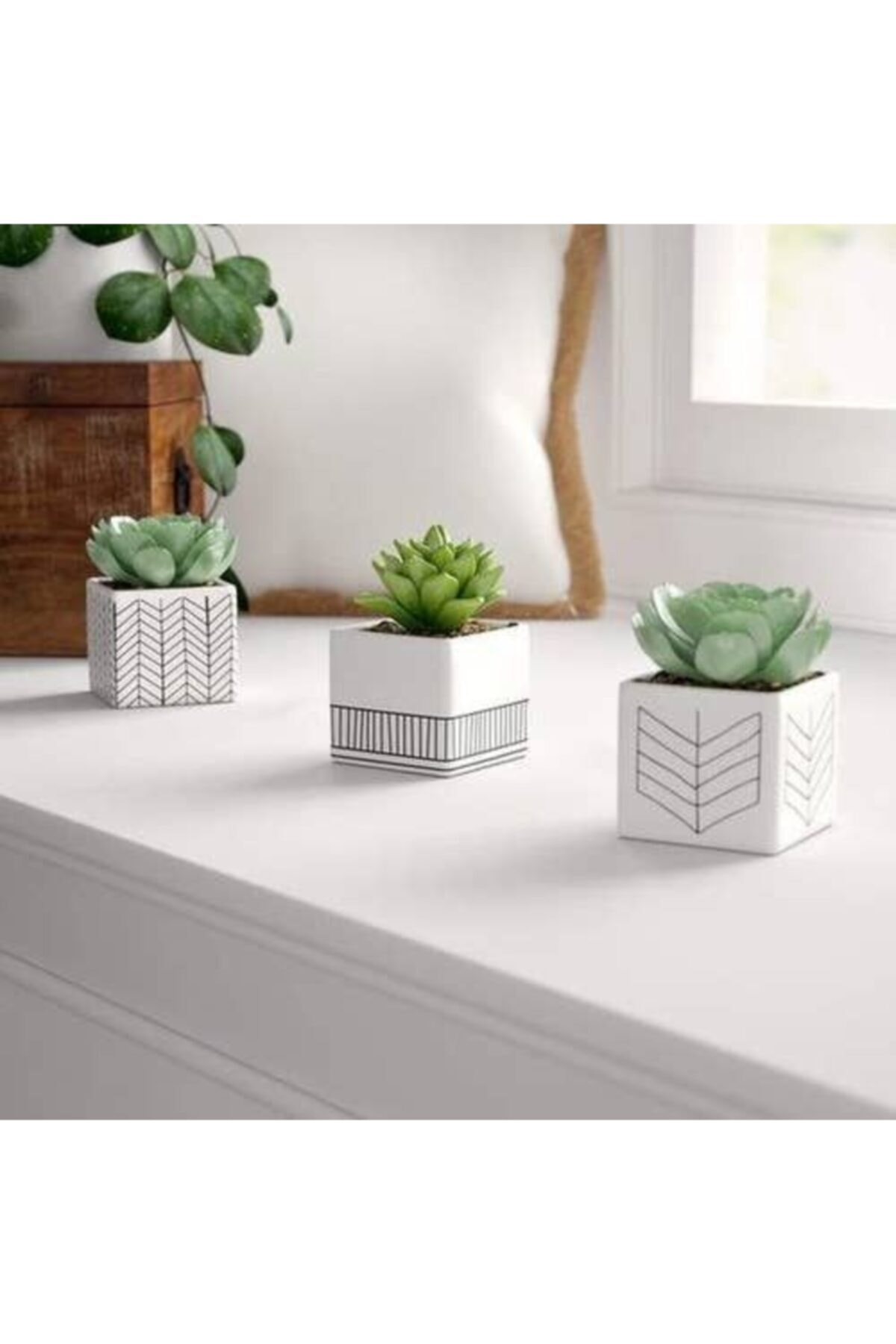 Hitalya 3'lü 10x10 Cm Beton Kare Saksı, Sukulent Ve Kaktüs Saksısı