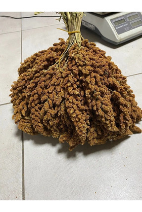Doğal Dal Darı (ÖZEL HAZIRLANMISTIR) 1 kg Image 0