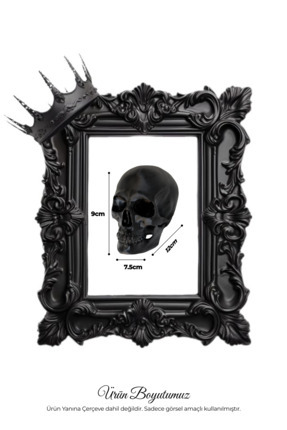 Dekoratif Kuru Kafa Figürü - Siyah | Modern Masaüstü Obje | Ev ve Ofis Aksesuarı Image 3