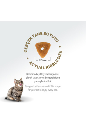 Kolajen Destekli Hipoalerjenik Somonlu Kısırlaştırılmış Yetişkin Kedi Maması 12KG Image 6