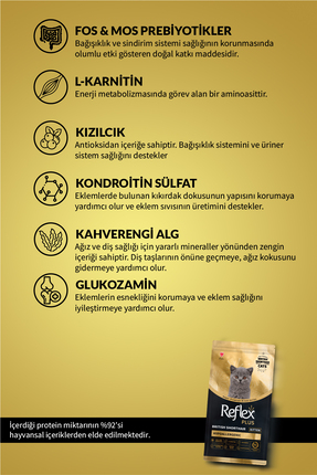 Plus British Shorthair Hipoalerjenik Yavru Kedi Maması 1,5 Kg Image 3