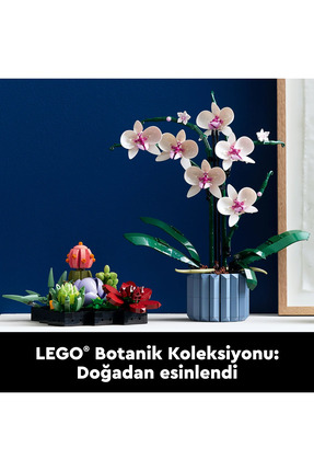 ® Botanicals Orkide 10311 - Yetişkinler için Sergilenebilir Çiçek Modeli Yapım Seti (608 Parça) Image 8
