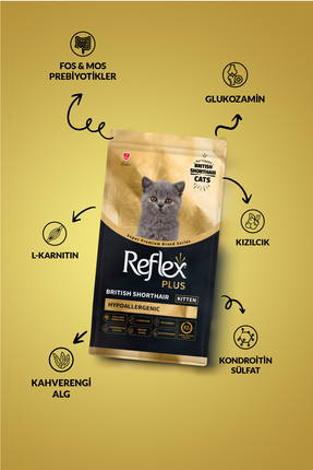 Plus British Shorthair Hipoalerjenik Yavru Kedi Maması 1,5 Kg Image 2