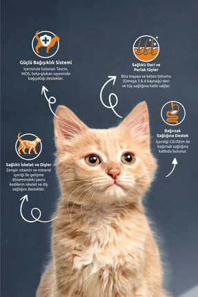 Tavuklu ve Pirinçli Yavru Kedi Maması 2 kg Image 1