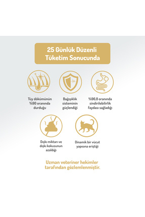 Kolajen Destekli Hipoalerjenik Somonlu Kısırlaştırılmış Yetişkin Kedi Maması 12KG Image 4