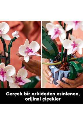® Botanicals Orkide 10311 - Yetişkinler için Sergilenebilir Çiçek Modeli Yapım Seti (608 Parça) Image 5