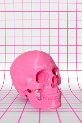 Dekoratif Kuru Kafa Figürü - Pembe | Modern Masaüstü Obje | Ev ve Ofis Aksesuarı Image 3