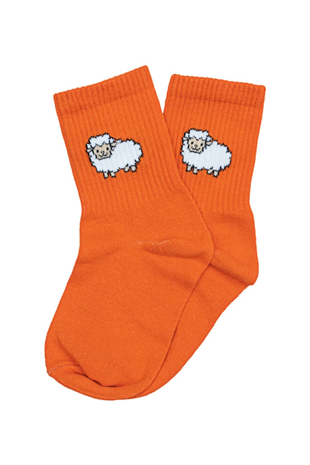 Socks Tunnel Koyun Desenli Renkli Çorap