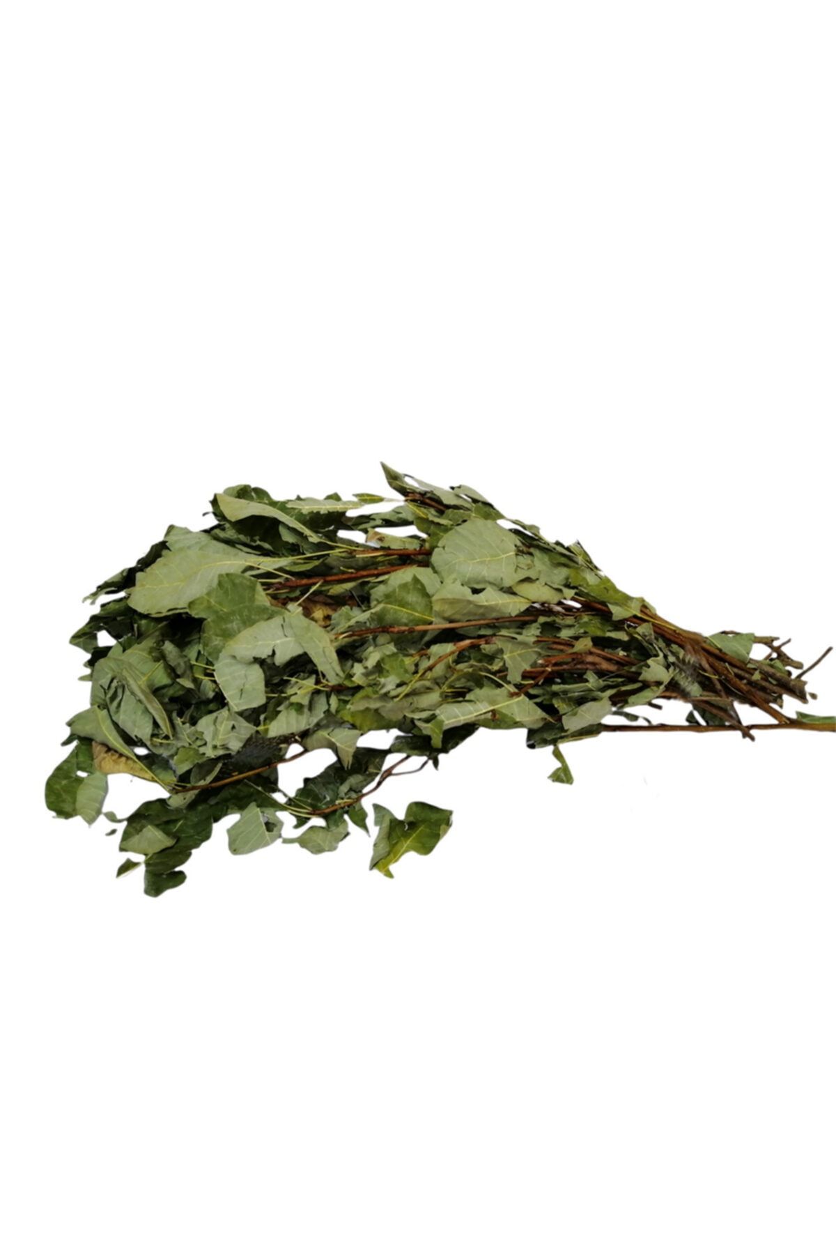 Aktarzane Tetra Ağacı Yaprağı Duman Ağacı Tetra Otu 250 Gr