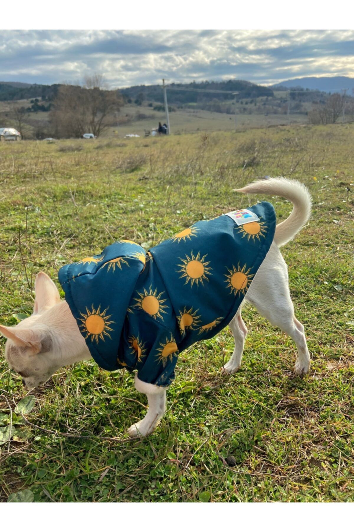 Paws and Marks Yeşil Güneş Desenli Içi Polarlı Köpek Yağmurluk Mont