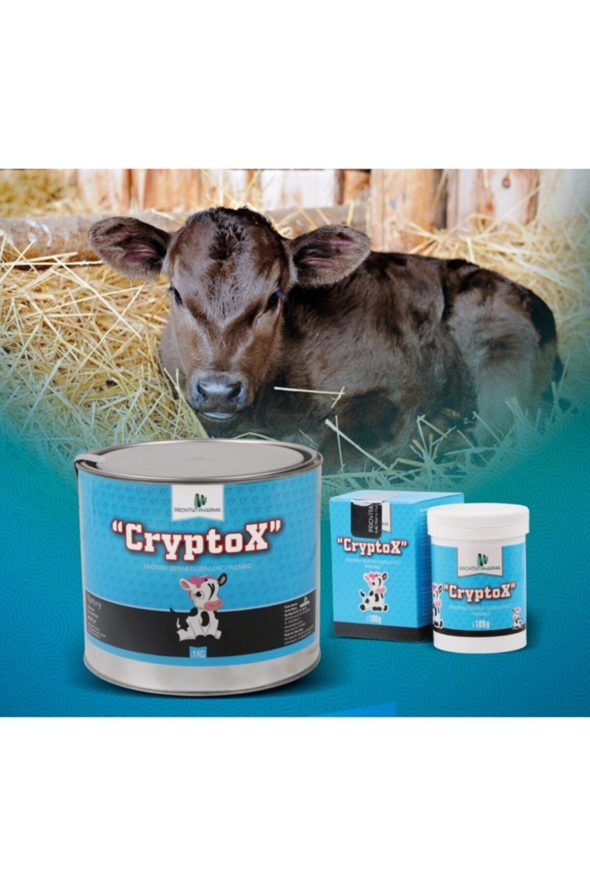 PROVİTA PHARMA Cryptoxx Bağırsak Ve Sindirim Sistemi Düzenleyici Toz Premiks 100 gr