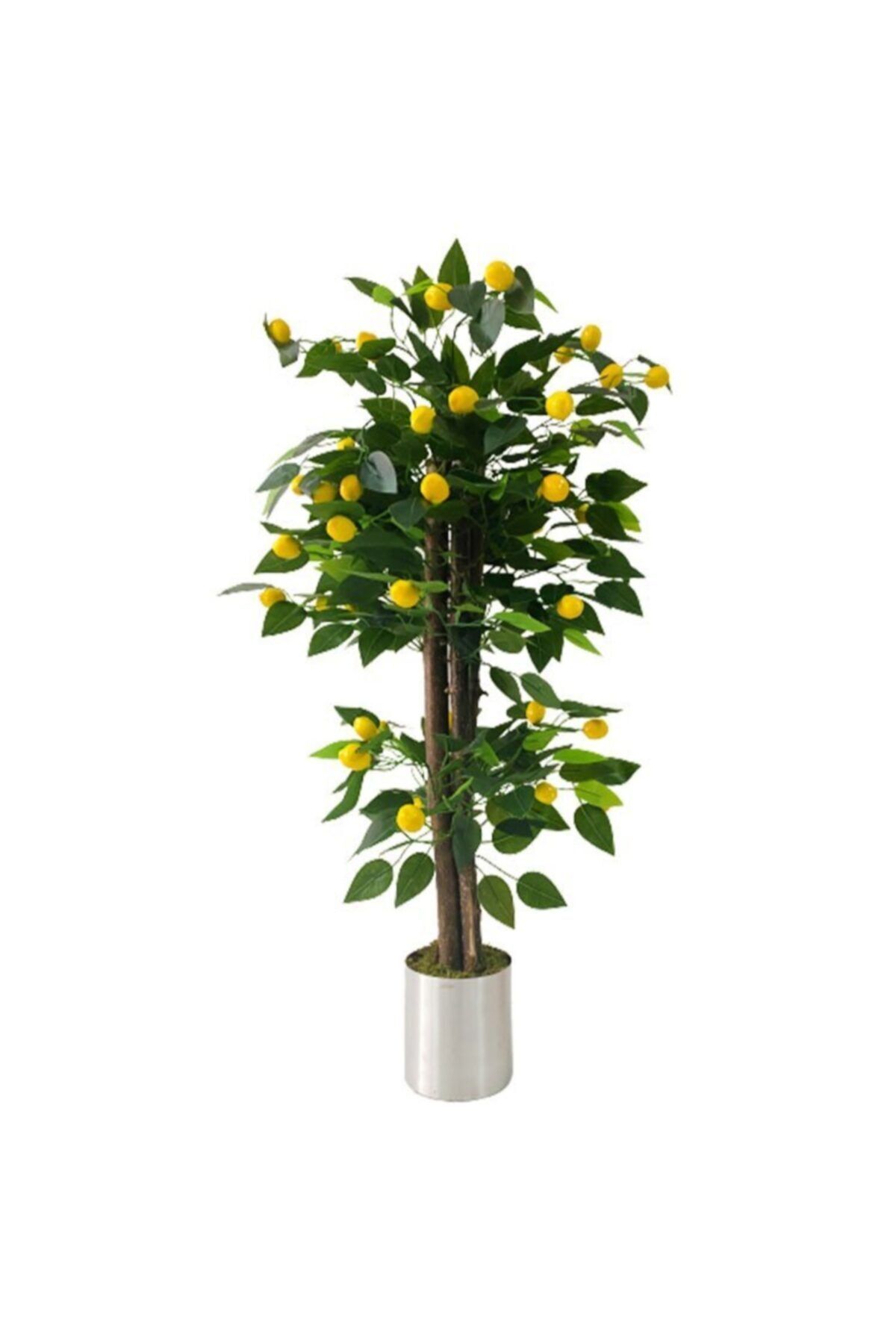 Hediye Vitrini Yapay Limon Ağacı Gümüş Saksılı 3 Sopalı Salon Ofis Ağacı 90 Cm