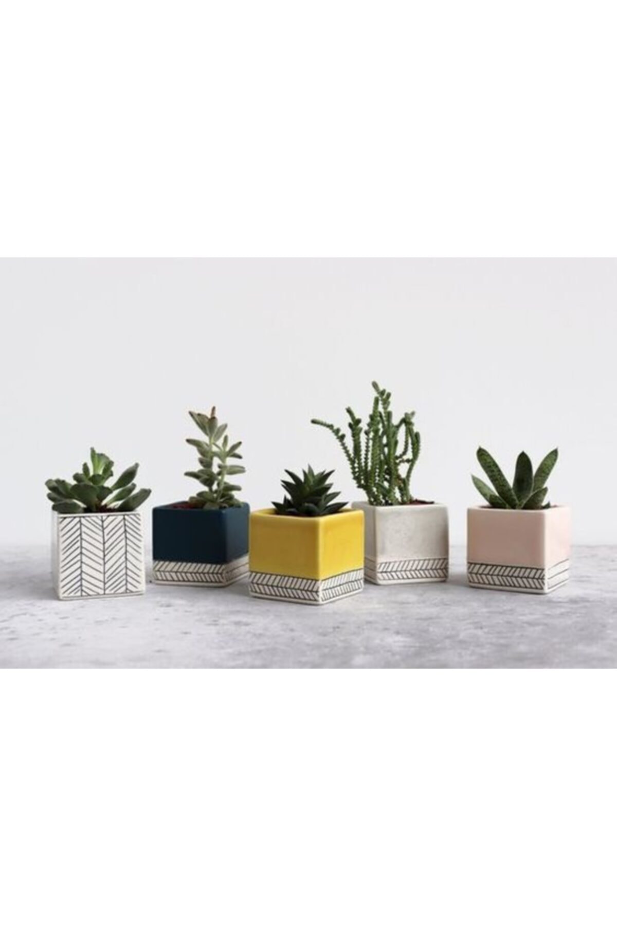 Hitalya 5 Li 10x10 Cm Kare Beton Saksı,kaktüs Ve Sukulent Saksısı