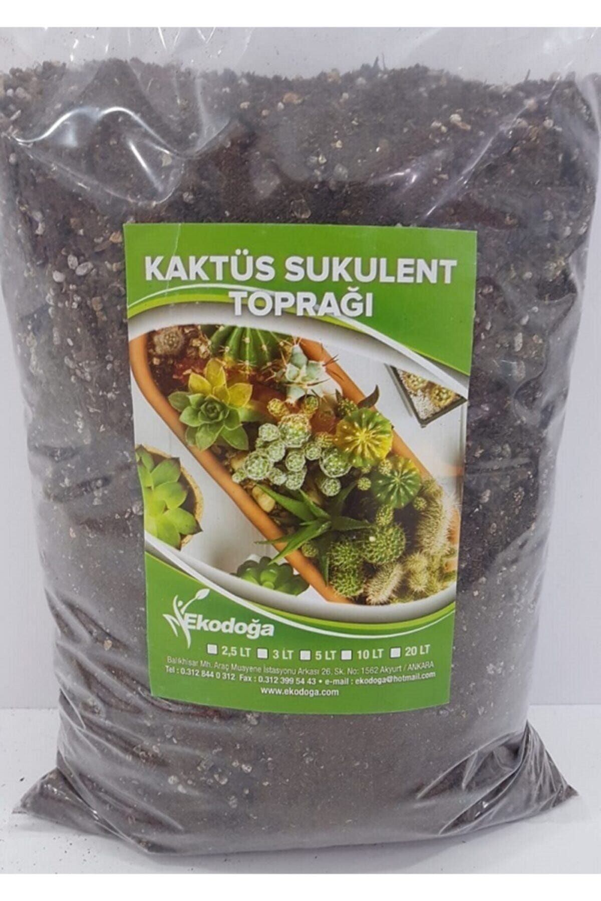 Doğalsan Tarım Kaktüs Toprağı 5 Lt Sukulent Aloe Vera Toprağı Özel Karışım Ithal Torf Pomza Perlit Vermikulit