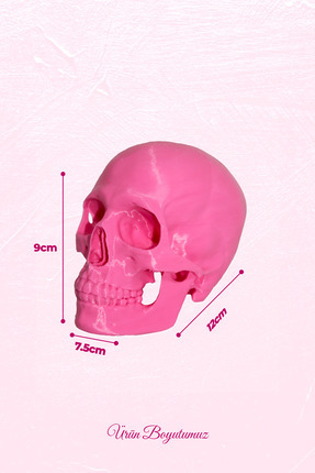 Dekoratif Kuru Kafa Figürü - Pembe | Modern Masaüstü Obje | Ev ve Ofis Aksesuarı Image 4