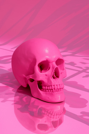 Dekoratif Kuru Kafa Figürü - Pembe | Modern Masaüstü Obje | Ev ve Ofis Aksesuarı Image 1