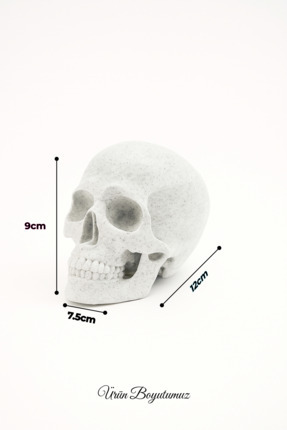 Dekoratif Bohem Kuru Kafa Figürü - Mermer Beyaz | Modern Masaüstü Obje | Ev ve Ofis Aksesuarı Image 4