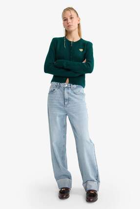 Slim Fit Dar Kesim Bisiklet Yaka Düğmeli Hırka F1744AX25WN Image 1