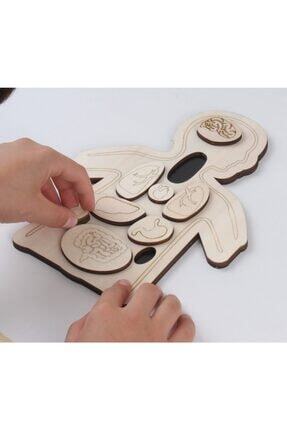 Montessori Ahşap Organlarımızı Öğreniyorum Ahşap Puzzle Image 0